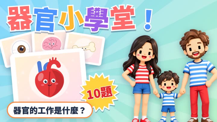 器官小學堂！
